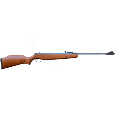 Пневматична гвинтівка Borner XS25. Фото 1